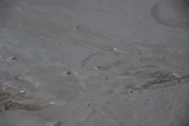 DSC_0365